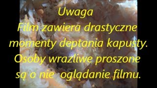 Kapusta kiszona jak zrobić na obiad [upl. by Losse785]