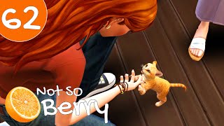 New Kitty  Ep62  The Sims 4 Not So Berry [upl. by Aneetsirk]