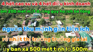 Số 199vườn 8 hét ta gần đường tỉnh lộ giá chỉ 300 hét nguồn thu caochuẩn bị đổ đường bê tông [upl. by Ramad]