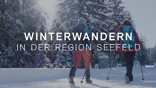 Winterwandern in der Region Seefeld  Winterweitwandern in Tirol [upl. by Shayla]