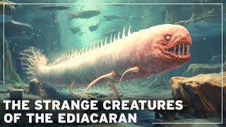 Before the Dinosaurs The Mysteries of the Lost Age of Ediacaran Creatures  Documentary [upl. by Angie590]