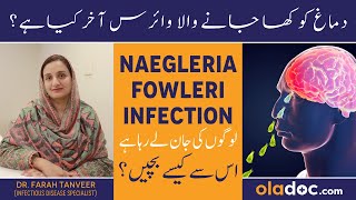 Naegleria Fowleri Infection Causes Treatment  Dimagh Khane Wala Virus  Brain Eating Amoeba [upl. by Starlene]