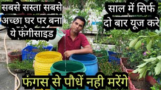 Home Made Fungicide for All Plants  Organic Fungicide [upl. by Free]