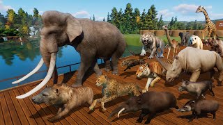 Ancient Animals VS Modern Animals Race in Planet Zoo included Mammoth Smilodon Cheetah amp Tiger [upl. by Leclair272]