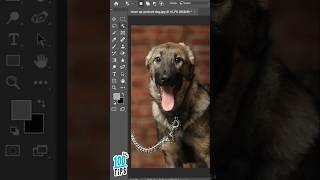 Remove any object in Photoshop [upl. by Atiuqes]