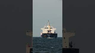 TRANSMERIDIAN Bulk Carrier ships BulkCarrier bulker shorts [upl. by Eicyak609]