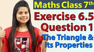 Q 1 Ex 65  The Triangle and its Properties  Chapter 6  Maths Class 7th  NCERT [upl. by Herbst]