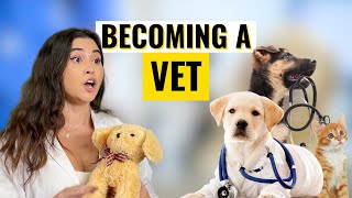 How To Become a Vet  Career Path Guide [upl. by Norbie]