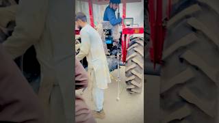 Massey 240 Tractor shorts [upl. by Nared]