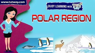 Polar Region  Adaptation in Polar Region  Penguins Polar Bears  Hibernation  Science [upl. by Ecnerolf3]