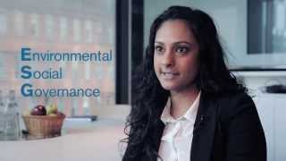 Nordea Asset Management  How does the ESGanalysis work in practice  Active Ownership [upl. by Eey]