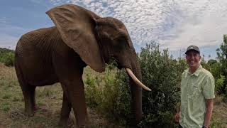 Elephant Experience at Glen Afric [upl. by Tekcirk]