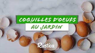 Coquilles doeufs au jardin bonne ou mauvaise idée [upl. by Won]