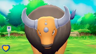 HOW TO GET Tauros in Pokémon Lets Go Pikachu amp Eevee [upl. by Hippel]