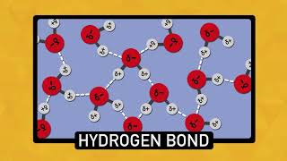 The Chemistry of Water  Chemistry Basics [upl. by Ala]