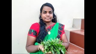 Ponnanganni keerai poriyal in tamil  பொன்னாங்கண்ணி கீரை பொரியல்  Health benefits  Maadi Thottam [upl. by Ehctav]