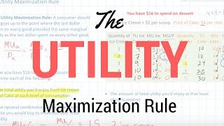 The Utility Maximization Rule [upl. by Ahsimak]