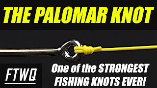 Fishing Knots Palomar Knot  One of the STRONGEST Fishing Knots ever [upl. by Yror506]