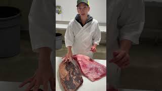 Can you dry age a brisket [upl. by Nlycaj]