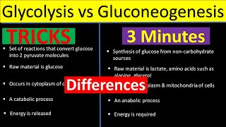 Glycolysis vs Gluconeogenesis  Difference between Glycolysis and Gluconeogenesis Biology Lectures [upl. by Nallij238]