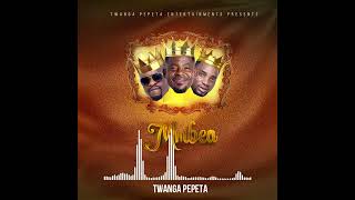 Twanga Pepeta  Mmbea Official Visualizer [upl. by Skvorak124]