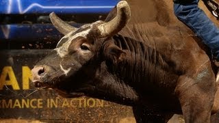 Bushwacker bucks off Chase Outlaw in 235 seconds PBR [upl. by Skelton446]