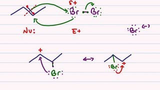 Halogenation of Alkenes  Reaction Mechanism for Bromination and Chlorination [upl. by Alton771]