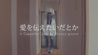 【アカペラ】愛を伝えたいだとか  あいみょん｜Cover by Groovy groove [upl. by Arin417]