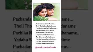 Pachandaname Pachadaname 💚sakhimusicmantrabeatsmadhavan [upl. by Pirozzo]