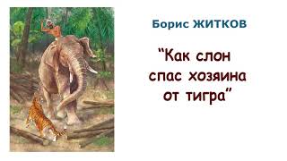 Борис Житков quotКак слон спас хозяина от тиграquot  Рассказы о животных  Слушать [upl. by Mitzie]