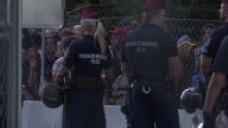 Migrants taken to official border crossing [upl. by Kemppe401]