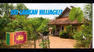 Exploring a Sri Lankan village [upl. by Luhar]