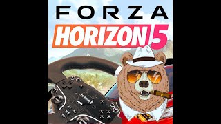 Setting up Forza H5 with Moza R5 [upl. by Dott]