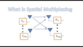 What is Spatial Multiplexing [upl. by Asek470]