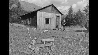 3 Haunting Cabin in the Woods Murders [upl. by Yancy]