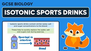 Isotonic Sports Drinks  GCSE Biology [upl. by Romonda]