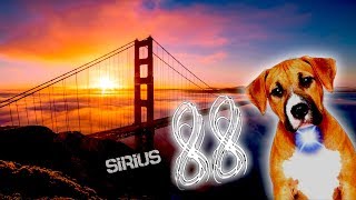 SIRIUS  Heliacal Rising  SAN FRANCISCO 88 [upl. by Aralk]