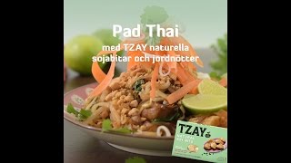 TZAY Pad Thai [upl. by Gnehp]