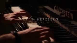 Martin Herzberg  Lifelines of Music Kanalvorschau [upl. by Kiri]