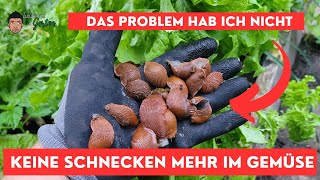 Gemüsegarten ohne Schnecken  So geht das [upl. by Giselbert814]