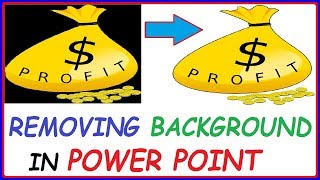 How to make Picture Background Transparent in PowerPoint  How To Remove Background in PowerPoint [upl. by Eirb624]