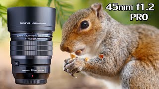 Olympus MZuiko 45mm f12 PRO  Very sharp at f12  Eating squirrel close up [upl. by Dnomal]