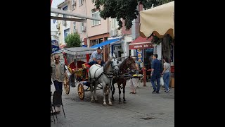 FAYTONS AND HORSES OF BÜYÜKADA ISTANBUL ONCE UPON A TIME [upl. by Kettie265]