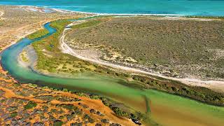 Shark Bay Western Australia sharkbay [upl. by Juliane]