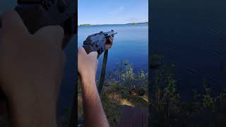 Finnish semiauto hunting rifle Valmet m88 Petra quotHunterquot shorts short youtubeshorts [upl. by Marra]