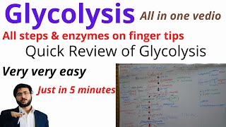 Glycolysis  Quick Review  All Steps  Enzymes  Trick to Learn  Glycolytic Pathway  Products [upl. by Klinges]