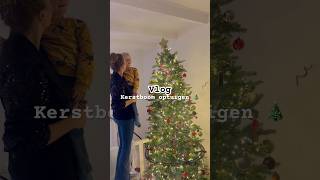 Hoe MOOI is het eindresultaat 🎄🚂 vlog minivlog kerstboom kerstboomoptuigen zegmaarfem [upl. by Adnohsak]