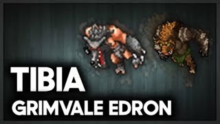 Tibia Grimvale  Edron EK 120 Hunt  800  900kh EXP [upl. by Patrica]