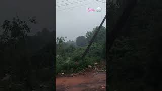 heavy rain in goagoa mai hua tej barish viral 1milliongoasafetyfirst ajayjourney1372 [upl. by Getraer784]