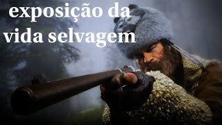 Red dead redemption 2 exposição da vida selvagem [upl. by Erehc]